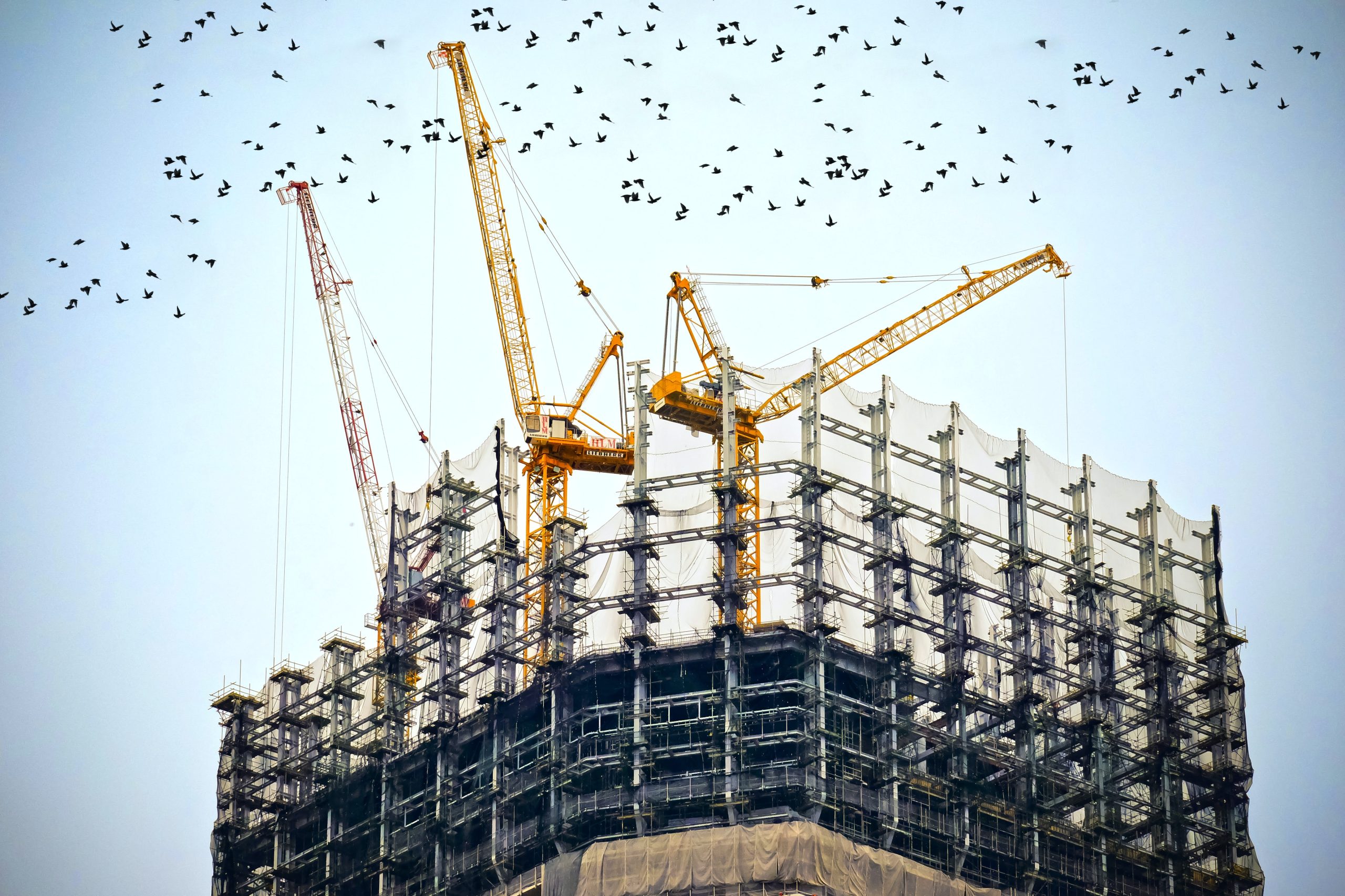 Steel structure with yellow cranes on top